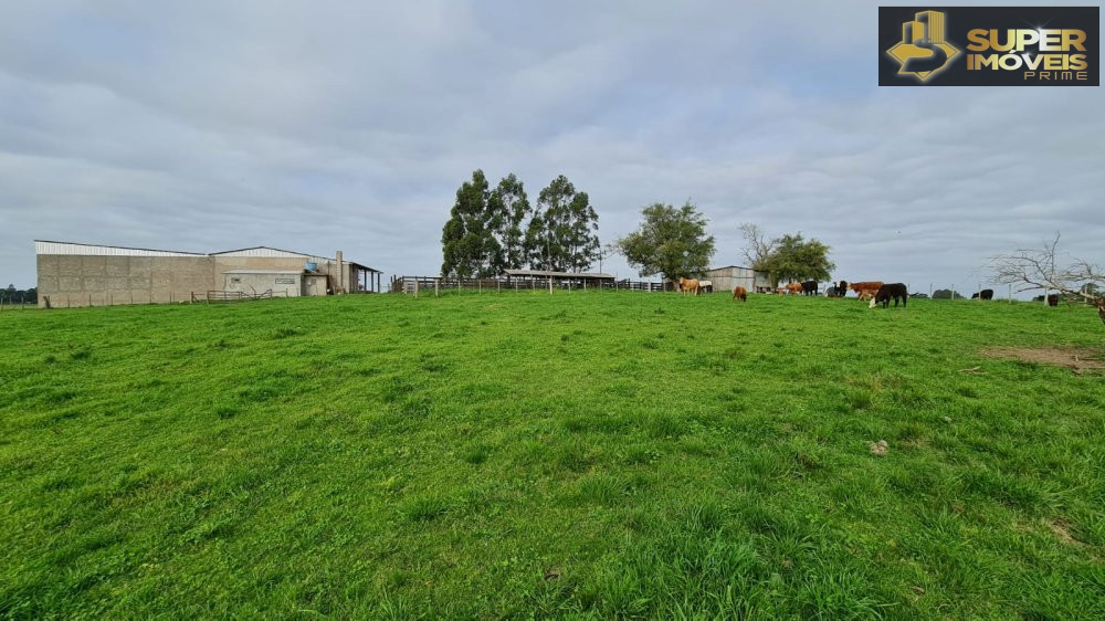 Fazenda/stio/chcara/haras  venda  no Colnia Nova - Acegu, RS. Imveis