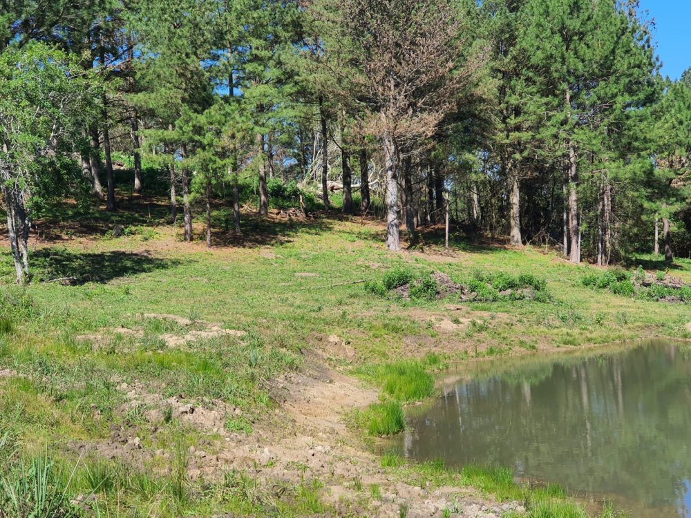 Área Rural de 2 Hectares próximo ao Parque Stone Land