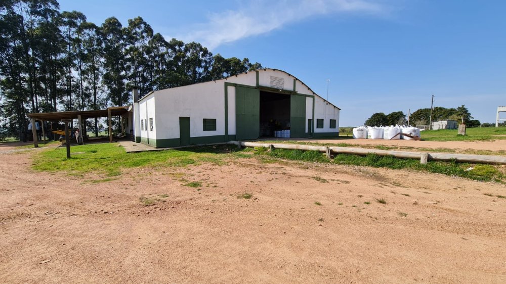 Fazenda Mista em Pedras Altas-RS