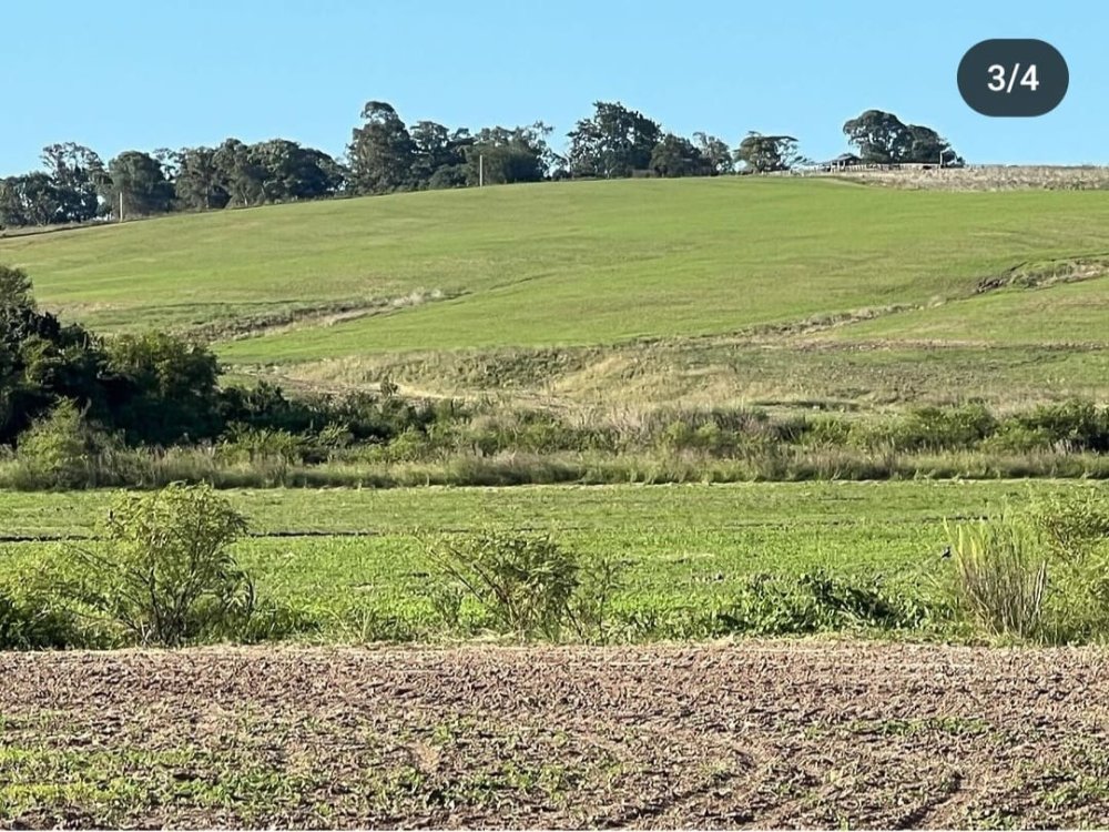 Fazenda em São Gabriel RS