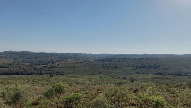 Foto imóvel