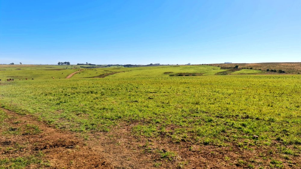 Fazenda - Venda - rea Rural de Bag - Bag - RS